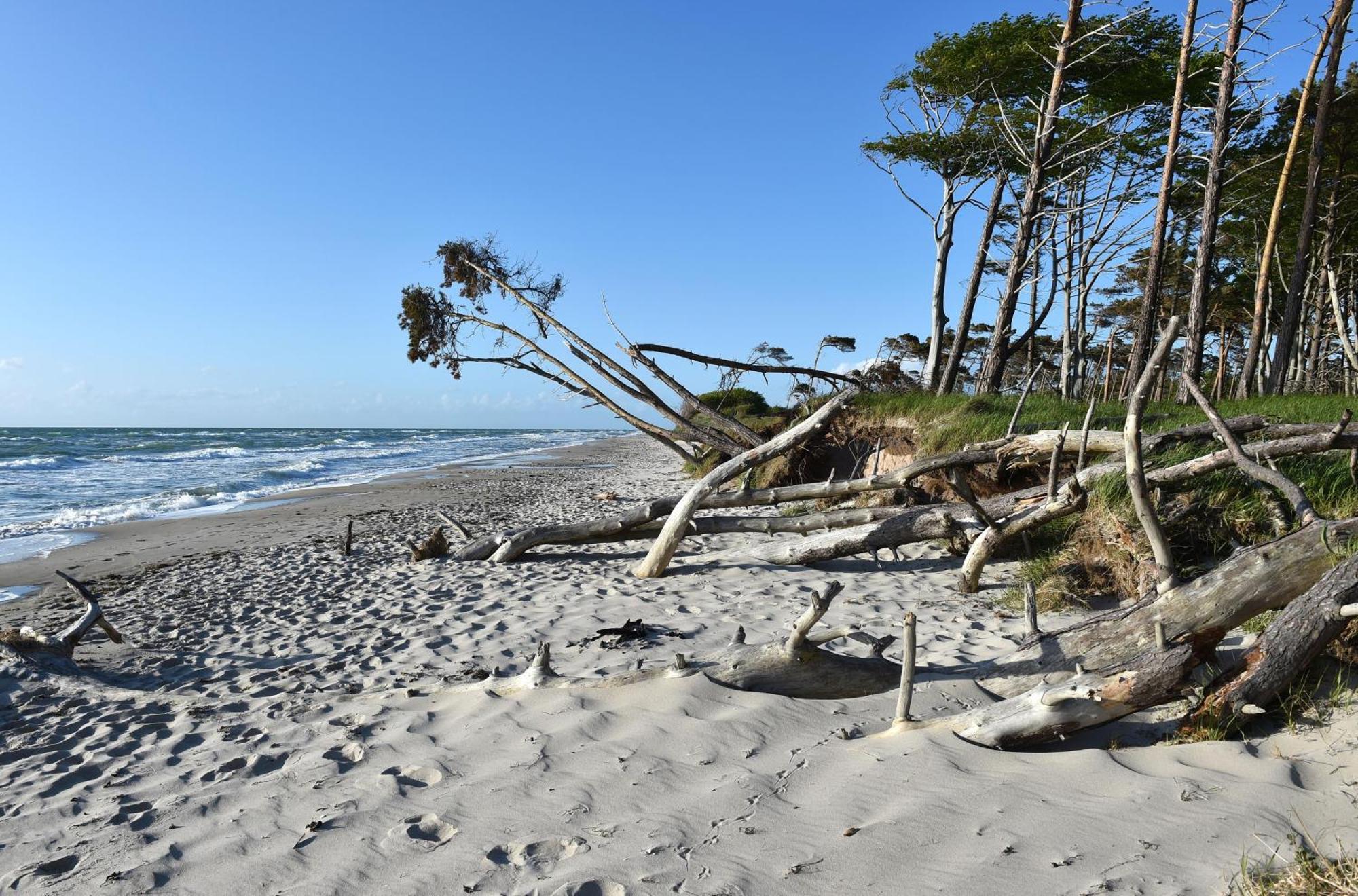 Strandhafer An Der Seebruecke Zingst Exterior foto